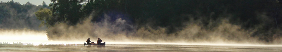 Traditional Defence Against Parasites