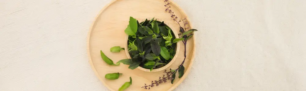 Holy Basil and Stress Relief : A Natural Solution for Modern-Day Challenges
