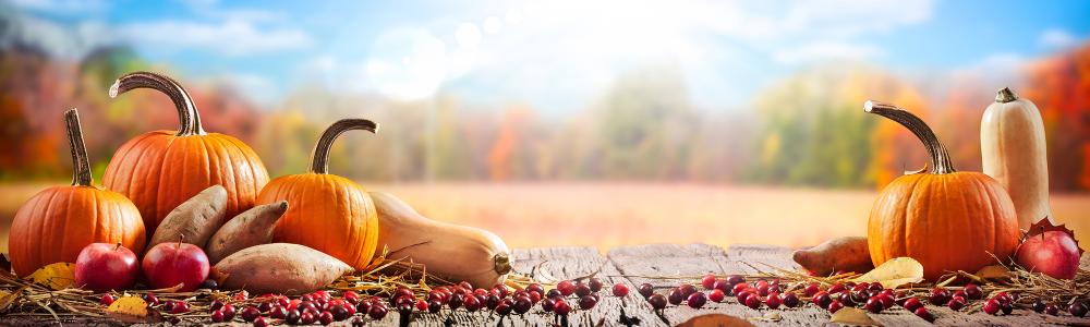 Autumn Superfoods