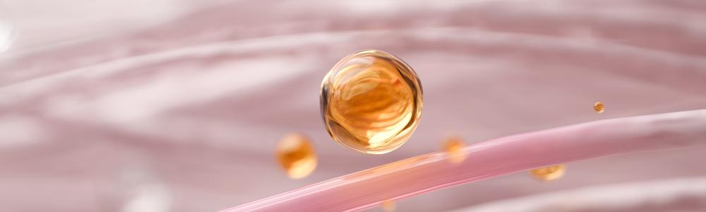 Exploring the Essence of Elastin