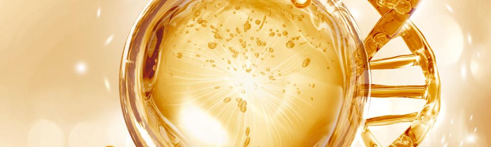 The Cellular Battle for Your Health