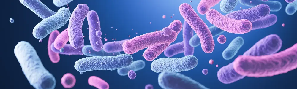 Unexpected Benefits of Probiotics