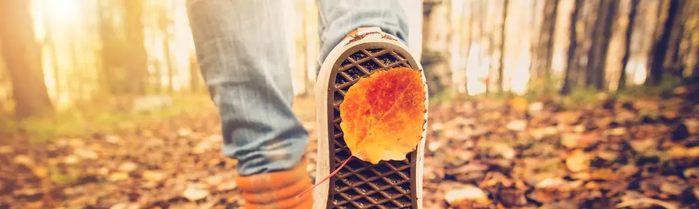 Autumn: Getting Your Immune System in Top Shape
