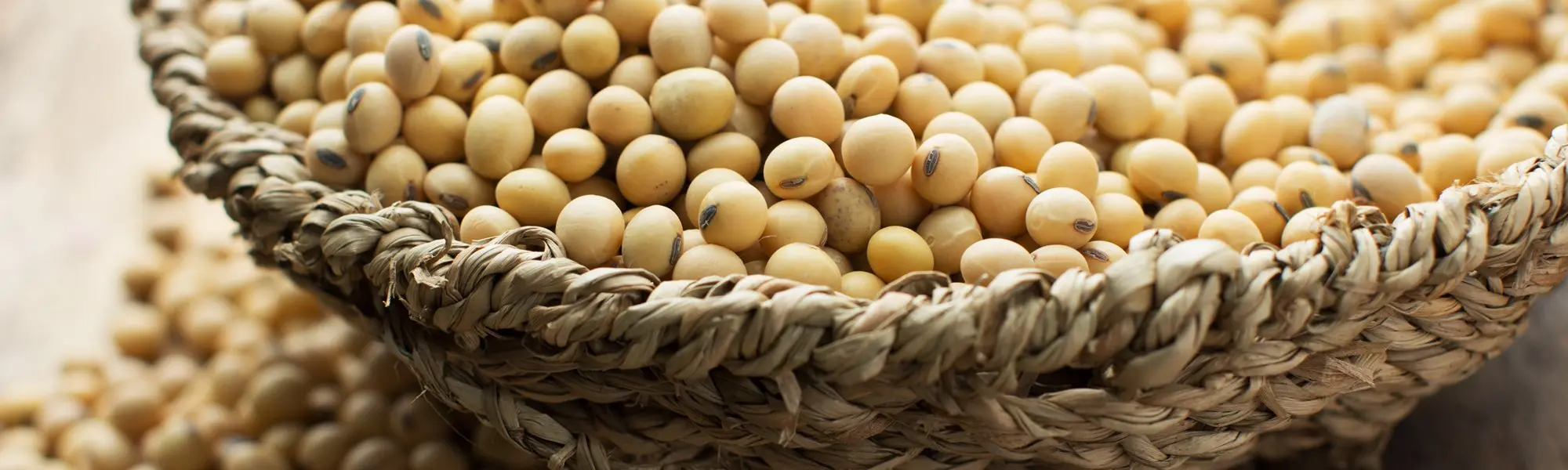 Phytoestrogens: Yes or No?