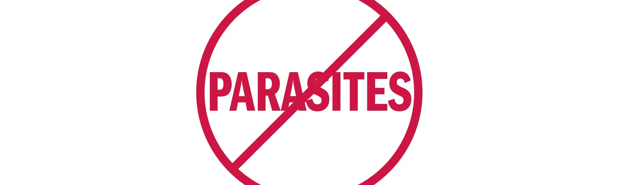 Parasitosis: Brief Physical State and Natural Solutions