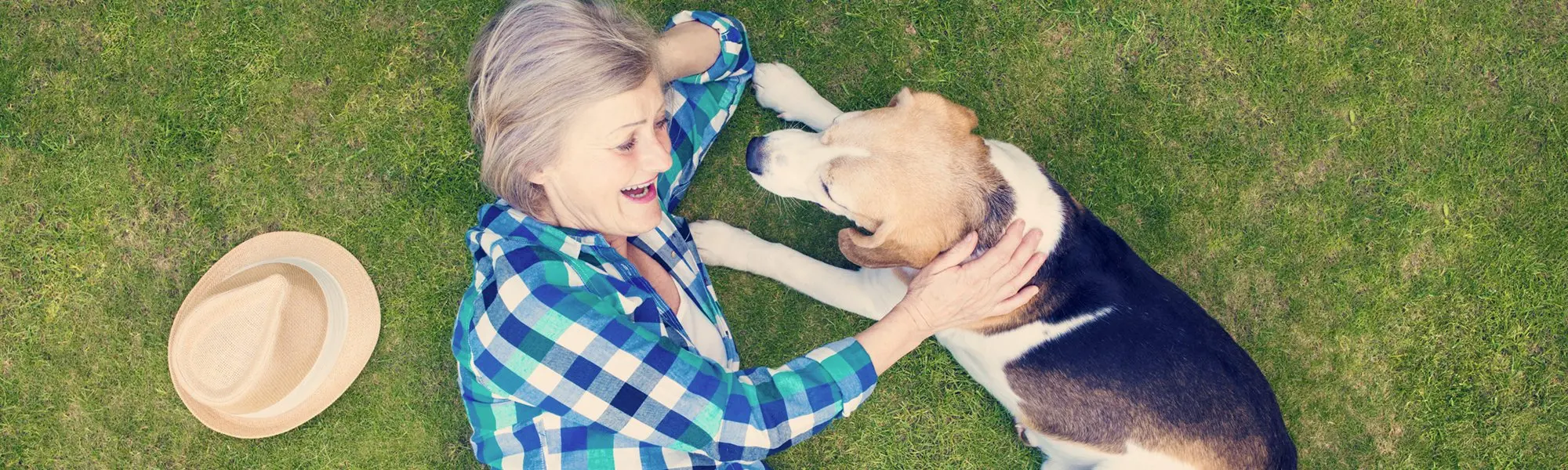 Osteoarthritis in Animals