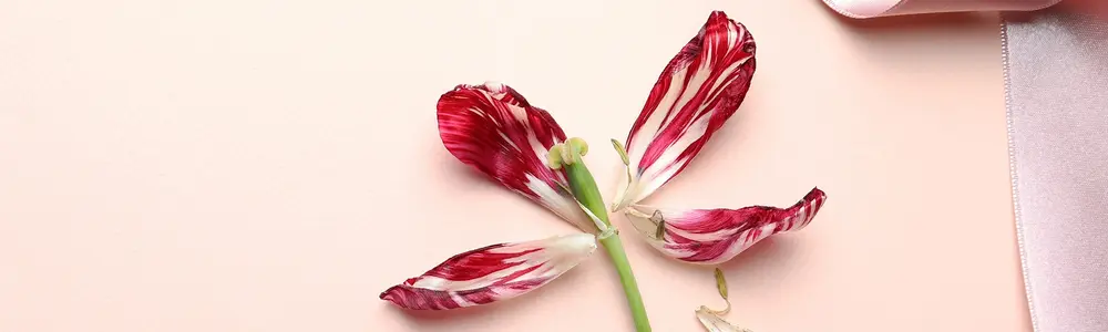 Top 10 Most Common Symptoms of Perimenopause and Menopause