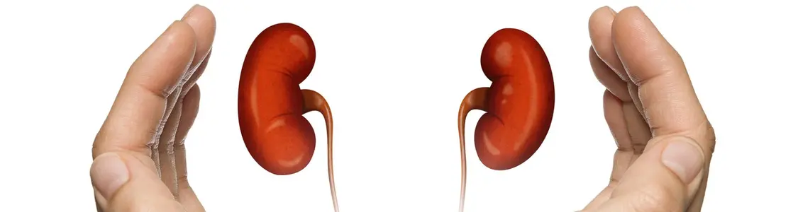 Kidney Kare