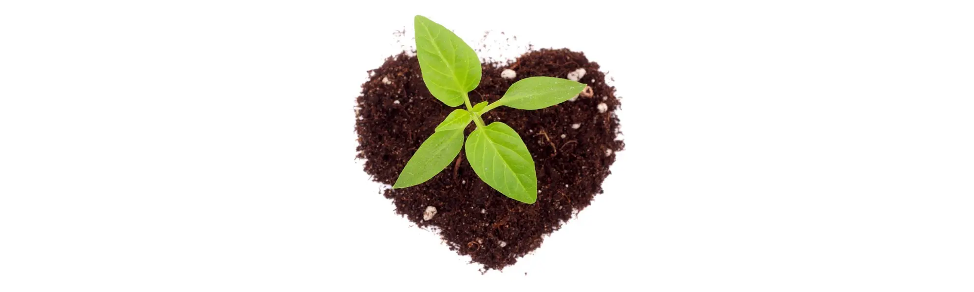 Human Probiotics: Sowing the Seeds of Health