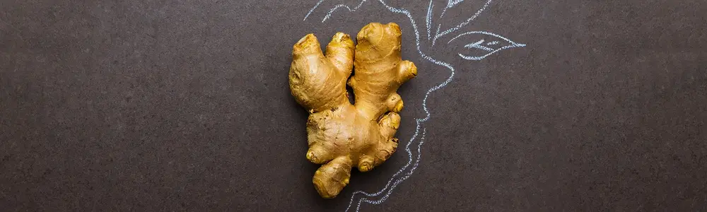 Ginger, An Unsung Hero