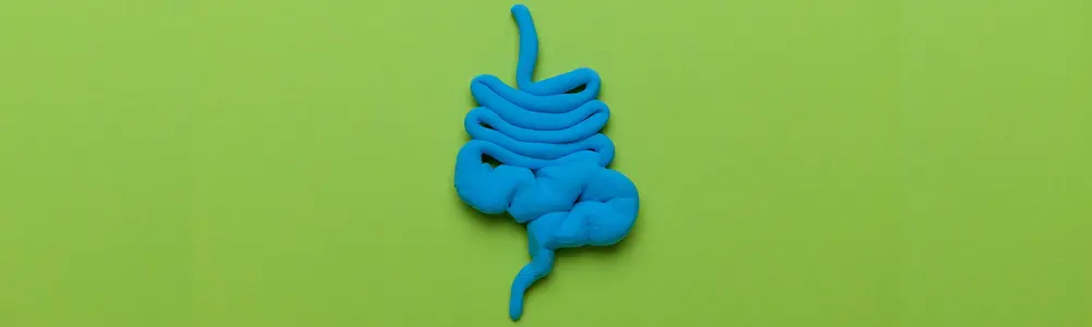 Influencing the Gut Microbiota and Host Health: Naturopathic Perspectives
