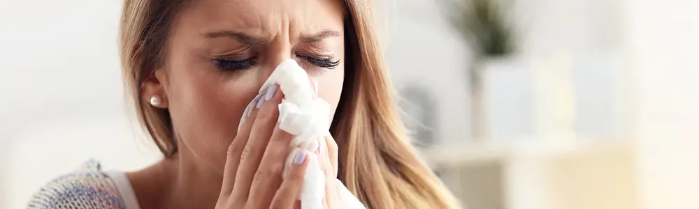 Allergic Rhinitis: Curcumin and Probiotics Can Help