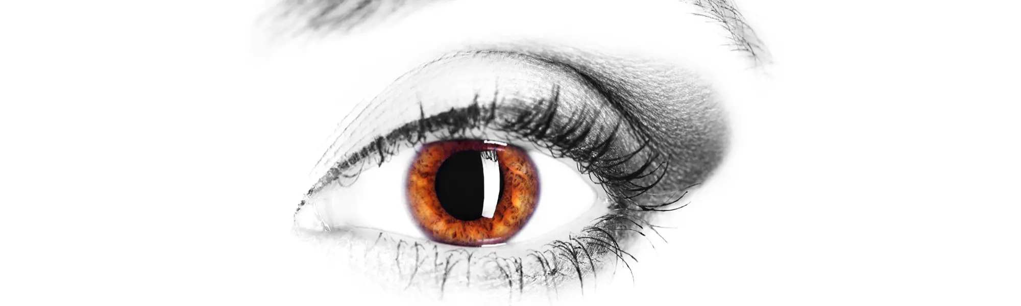 Your Eyes—Window to Your Soul and Life