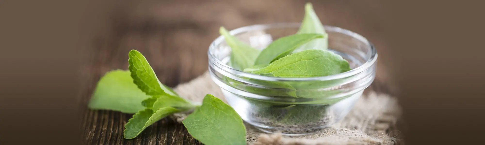 Stevia—A Brief History 