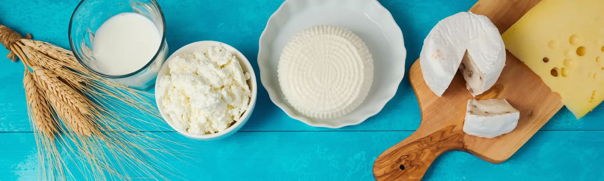 Is Dairy Healthy?