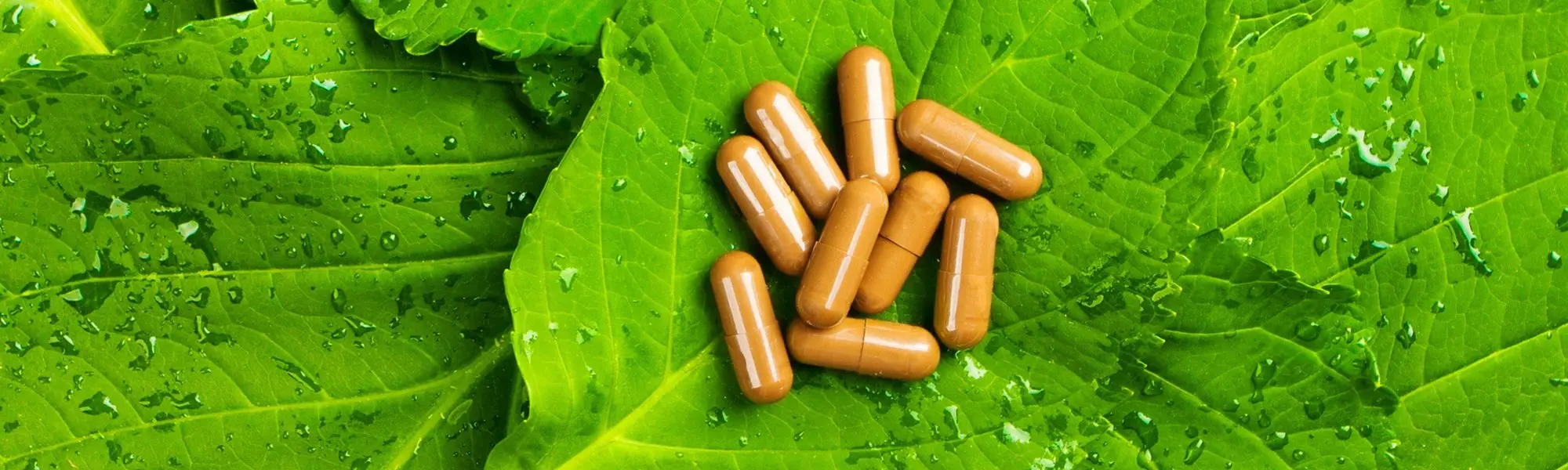 Take Your Multivitamins; There Is Consensus!