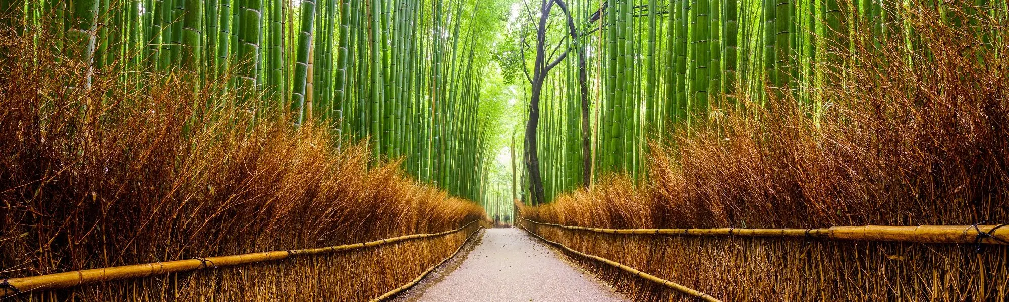Life, the Path Towards Oneself: When challenges guide us towards ourselves!