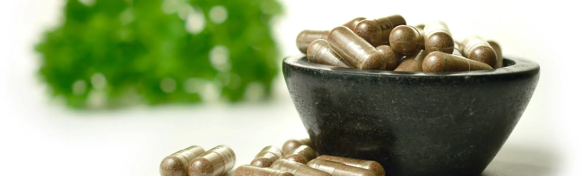Natural Health Products in Pregnancy: Improving Generational Health
