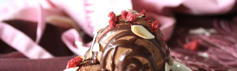 Vegan Chocolate Ice Cream