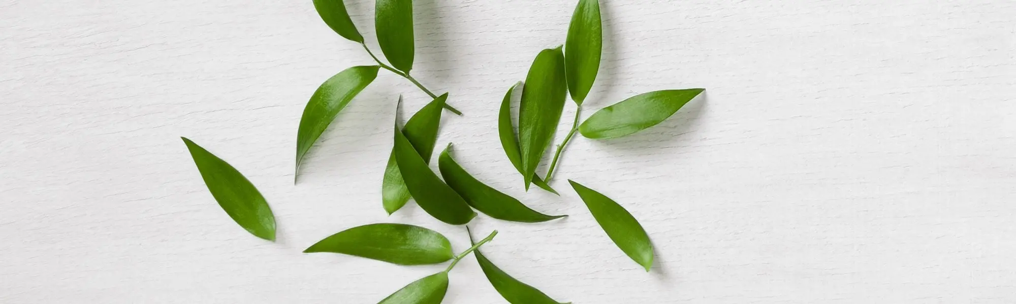 Tea Tree Oil, Anyone?