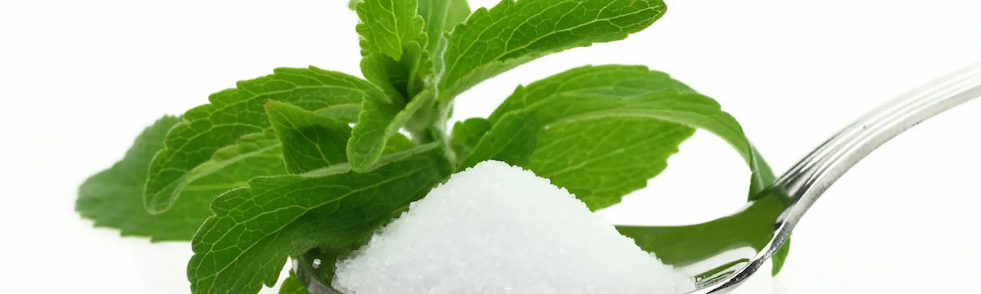Stevia and Plant Sterols