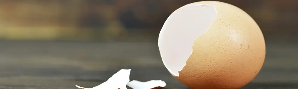 Joint Pain Got You Walking on Eggshells?