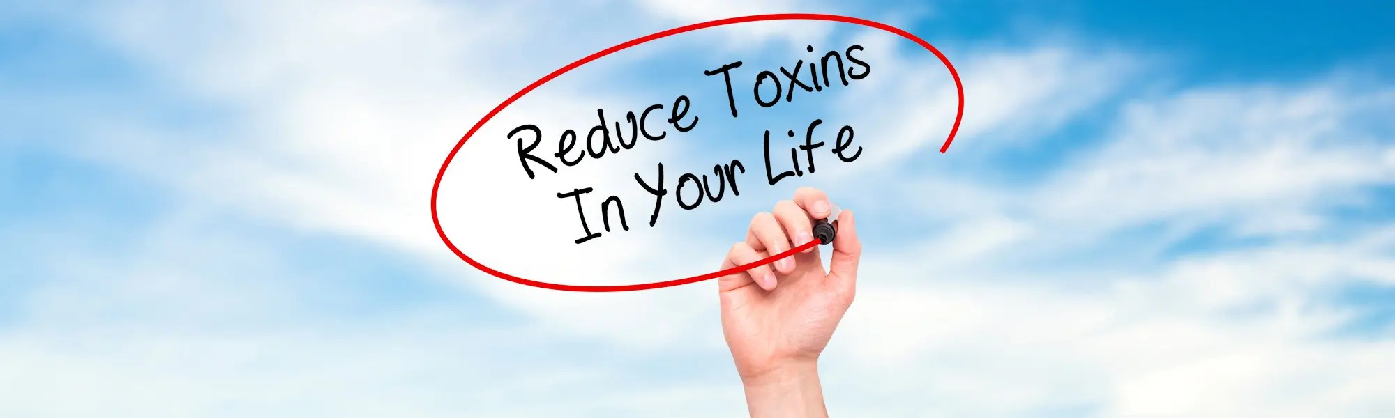 The Best Solutions to Limit Toxin Accumulation: How to Limit Everyday Toxin Exposure (Part 1)